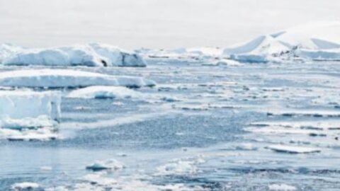 La Force qui dirigera la "Fin des Temps" est-elle en Antarctique?