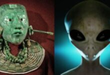 Le roi maya Pakal était-il un extraterrestre de la planète Nibiru?